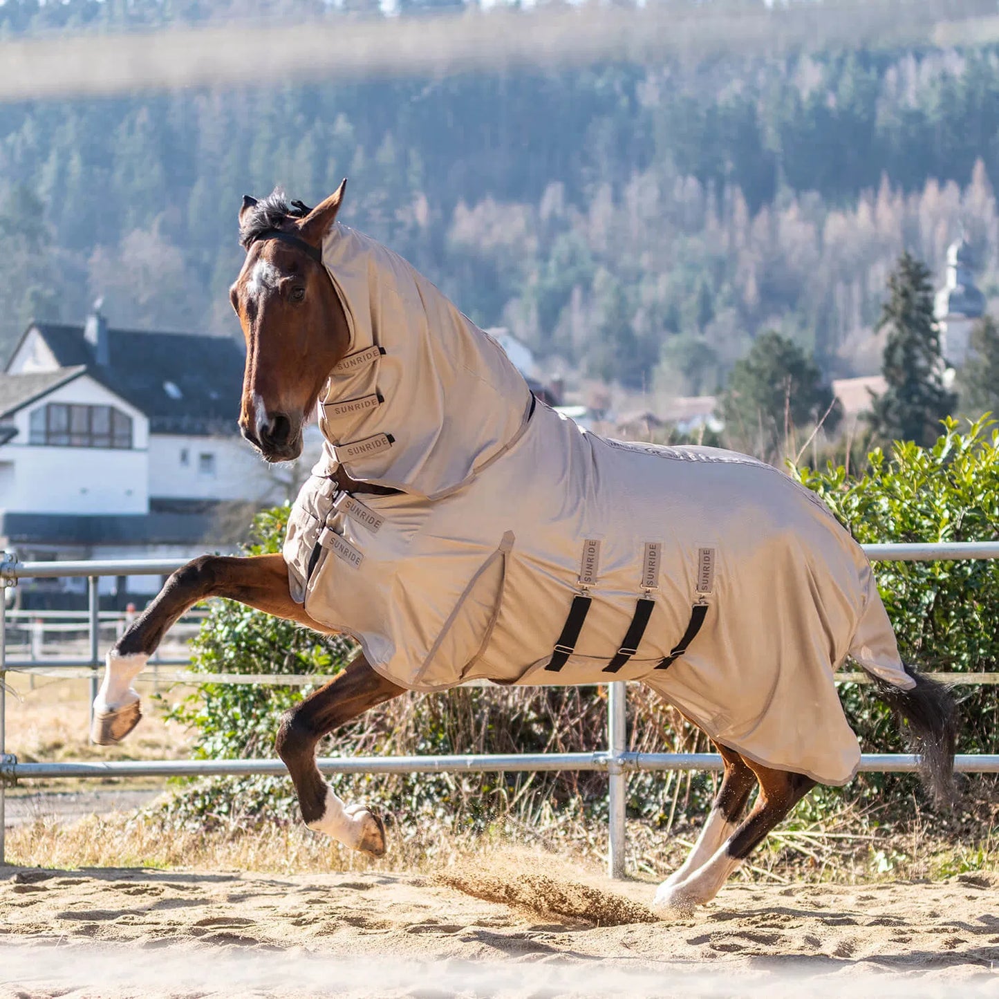 Insect-repellent horse blanket, white, Sunride