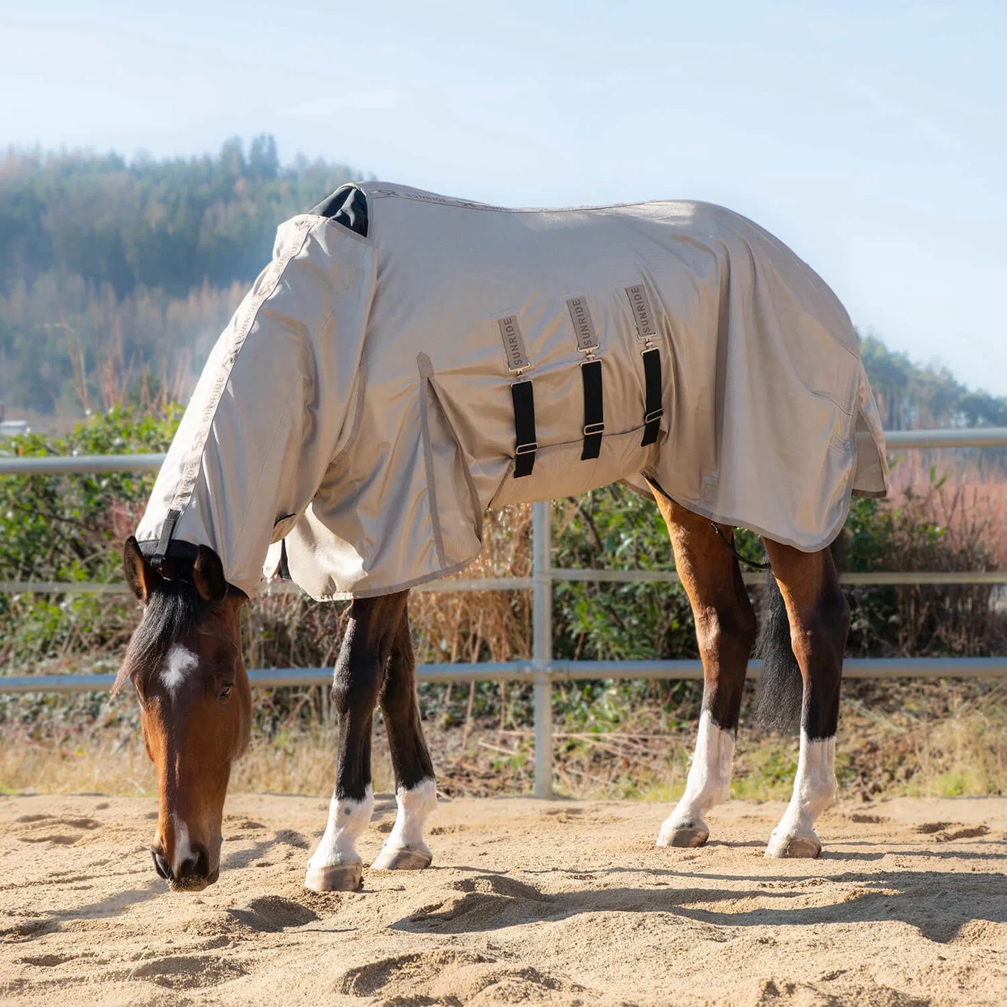 Insect-repellent horse blanket, white, Sunride