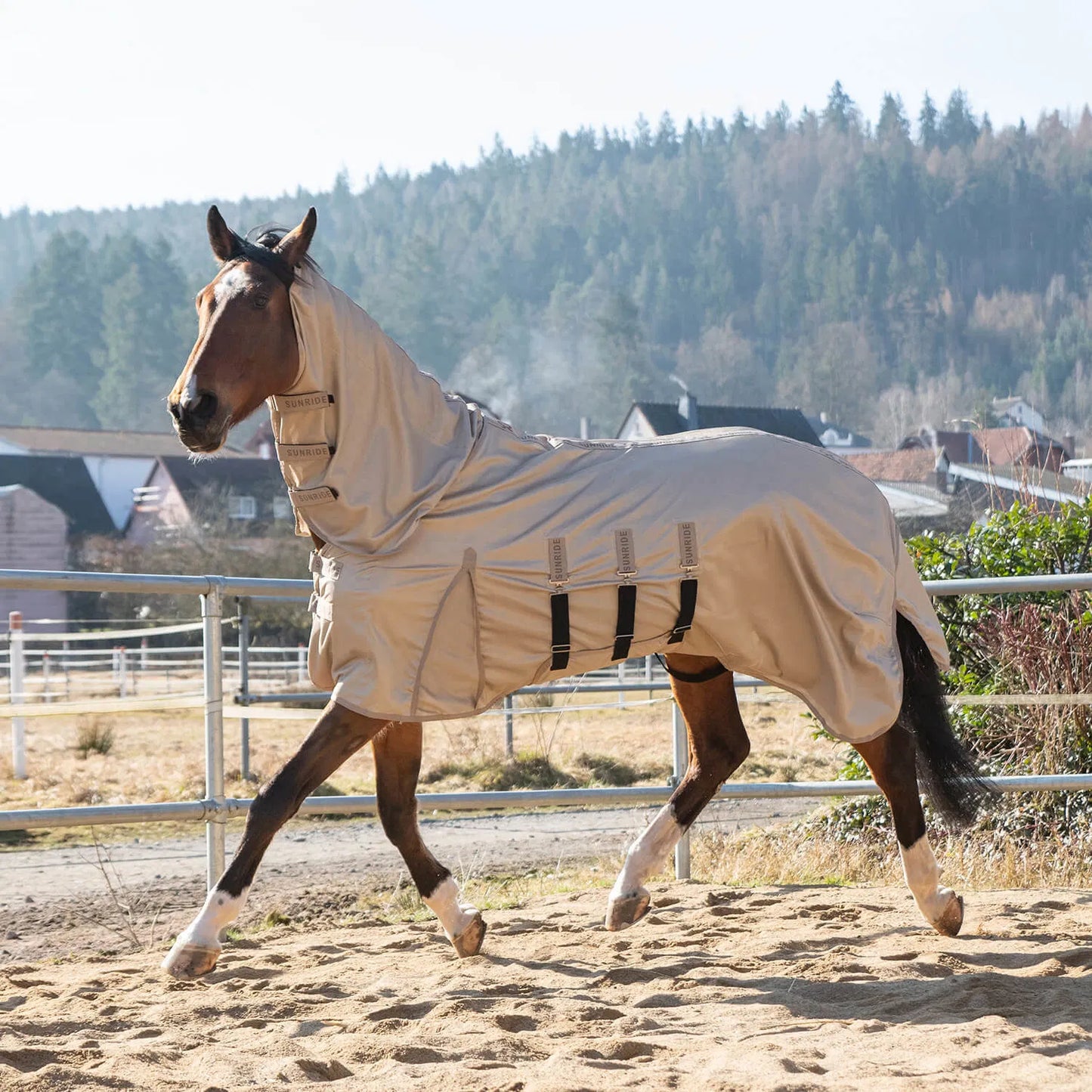Insect-repellent horse blanket, white, Sunride