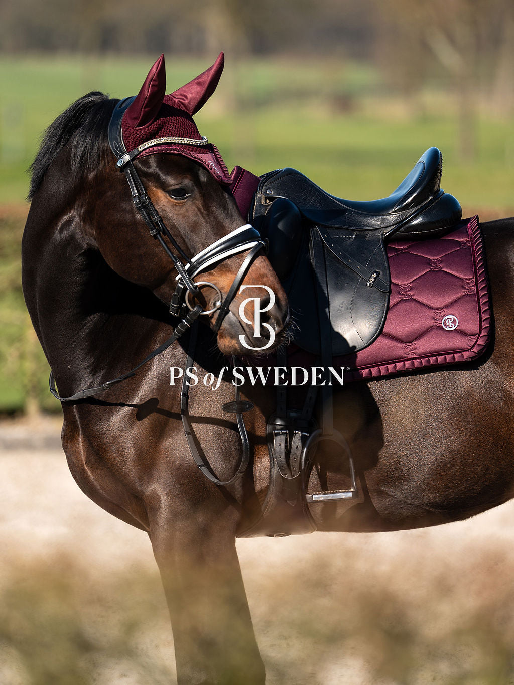 Horse track bib with ruffles, anatomical construction, Ps of Sweden