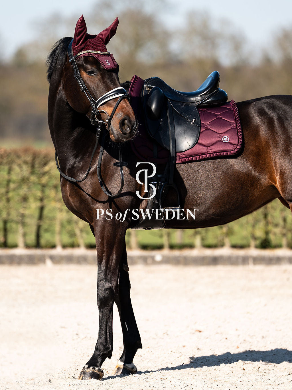 Horse track bib with ruffles, anatomical construction, Ps of Sweden