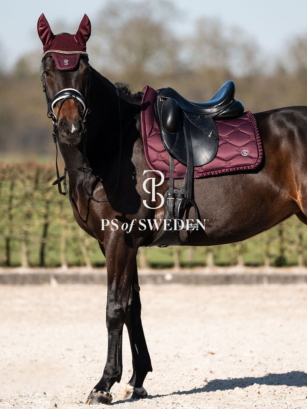 Horse track bib with ruffles, anatomical construction, Ps of Sweden