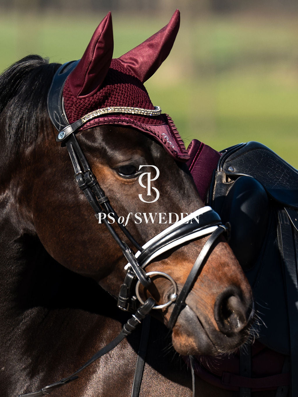 [Same-day delivery] [Set] Crocheted ear net and race bib with ruffles and pearls, Ps of Sweden, 7 colors