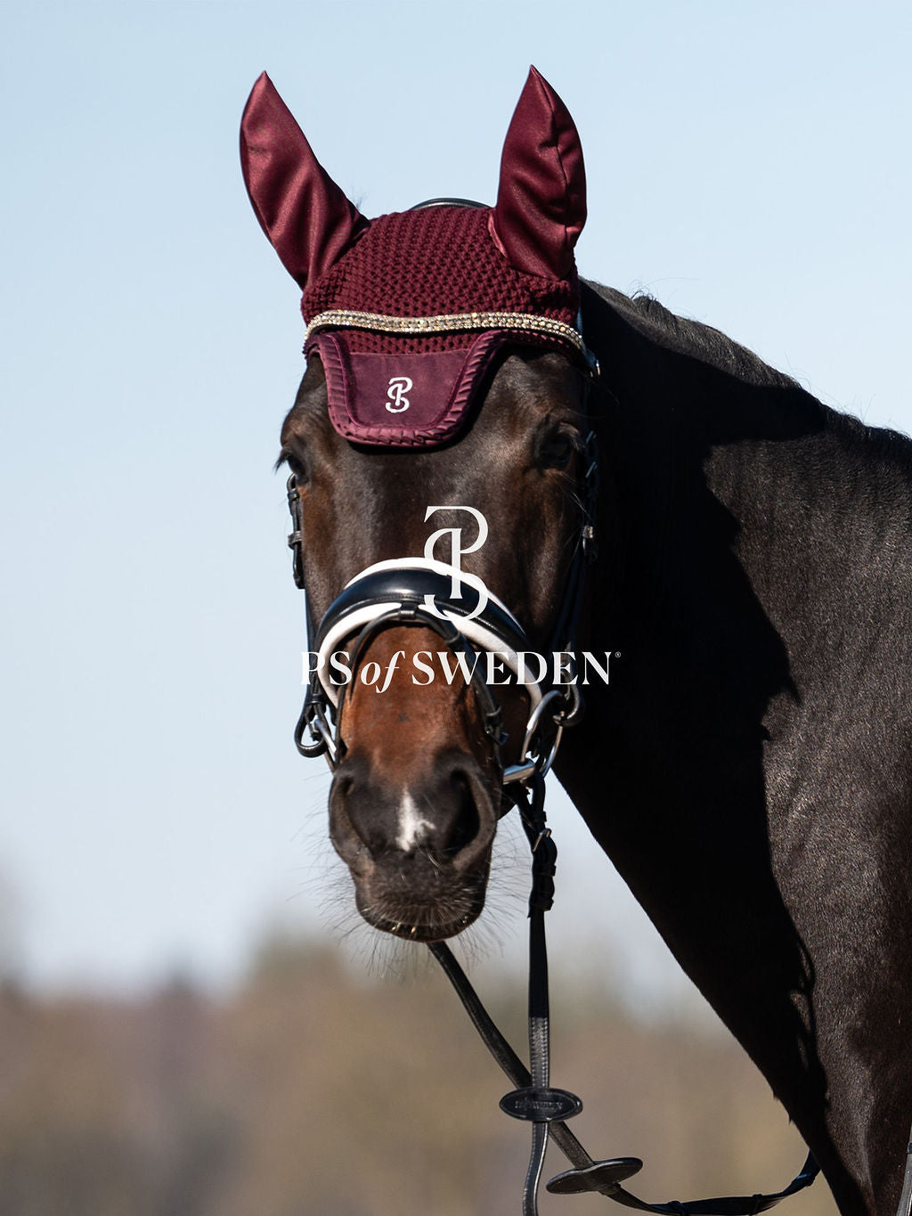 [Same-day delivery] [Set] Crocheted ear net and race bib with ruffles and pearls, Ps of Sweden, 7 colors