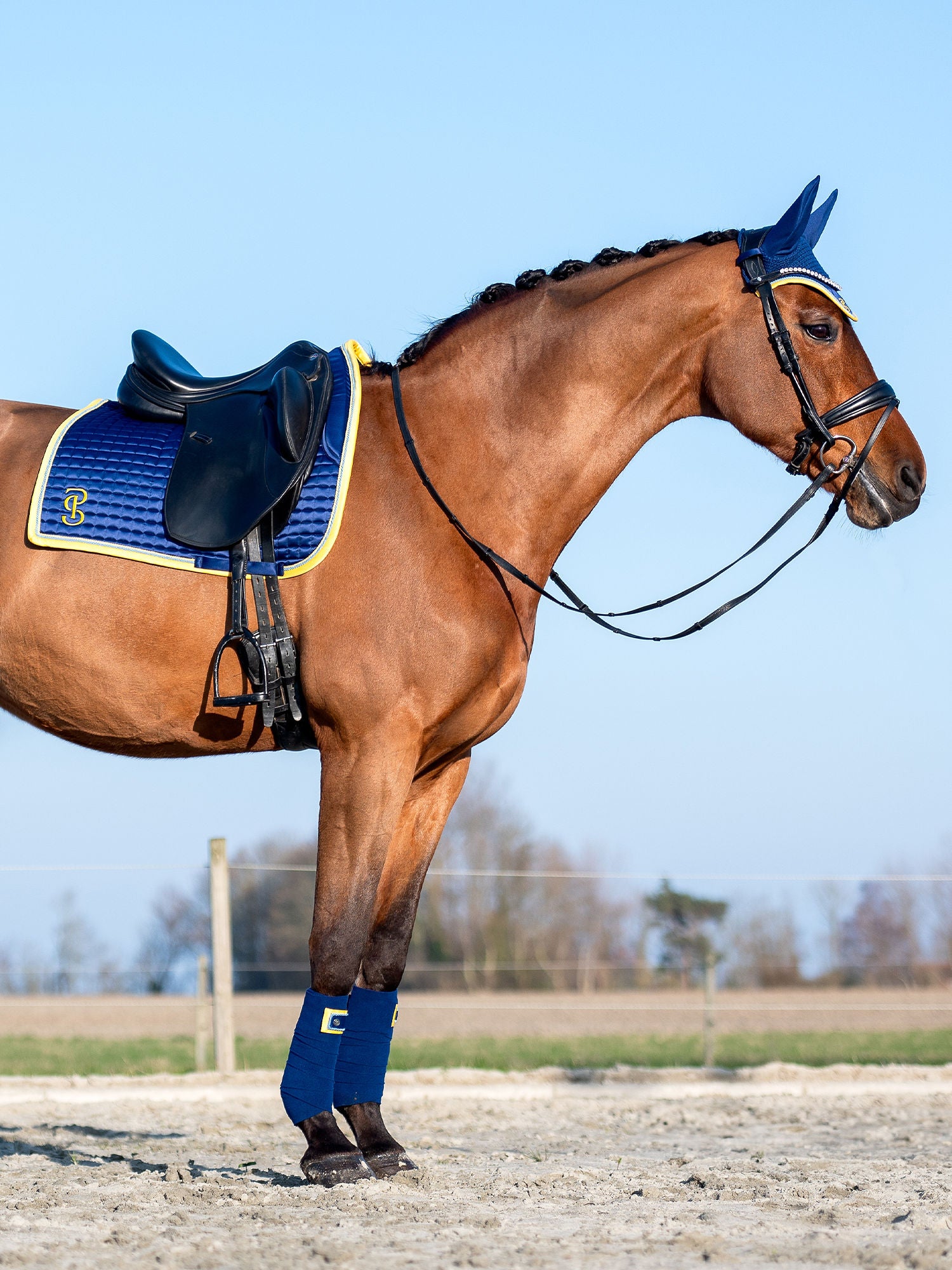 乗馬 まとめ買い 無口 マテスオプショナルゼッケン エスカドロン 馬具 乗馬用品 苦しく