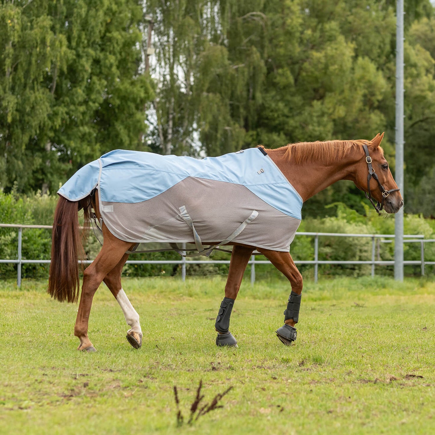 虫除け＆雨よけ馬着  防水加工 ライトブルー ネックパート付き Sunride