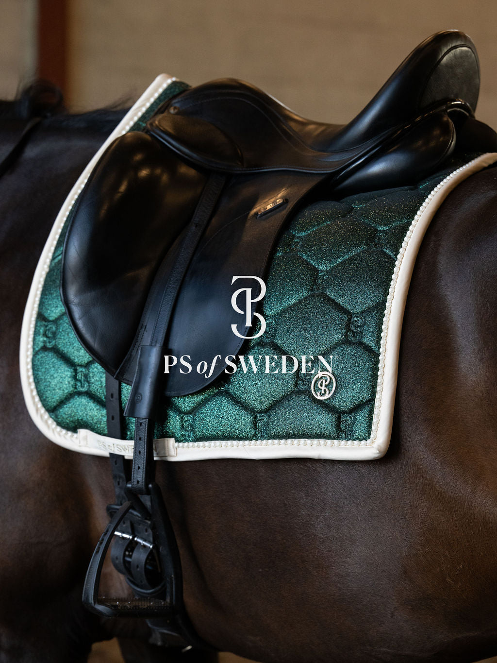 【2点セット】馬場用スターダストゼッケン&イヤーネット エメラルド/パープル 2025ホリデー限定 Ps of Sweden