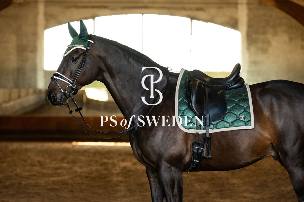 【2点セット】馬場用スターダストゼッケン&イヤーネット エメラルド/パープル 2025ホリデー限定 Ps of Sweden