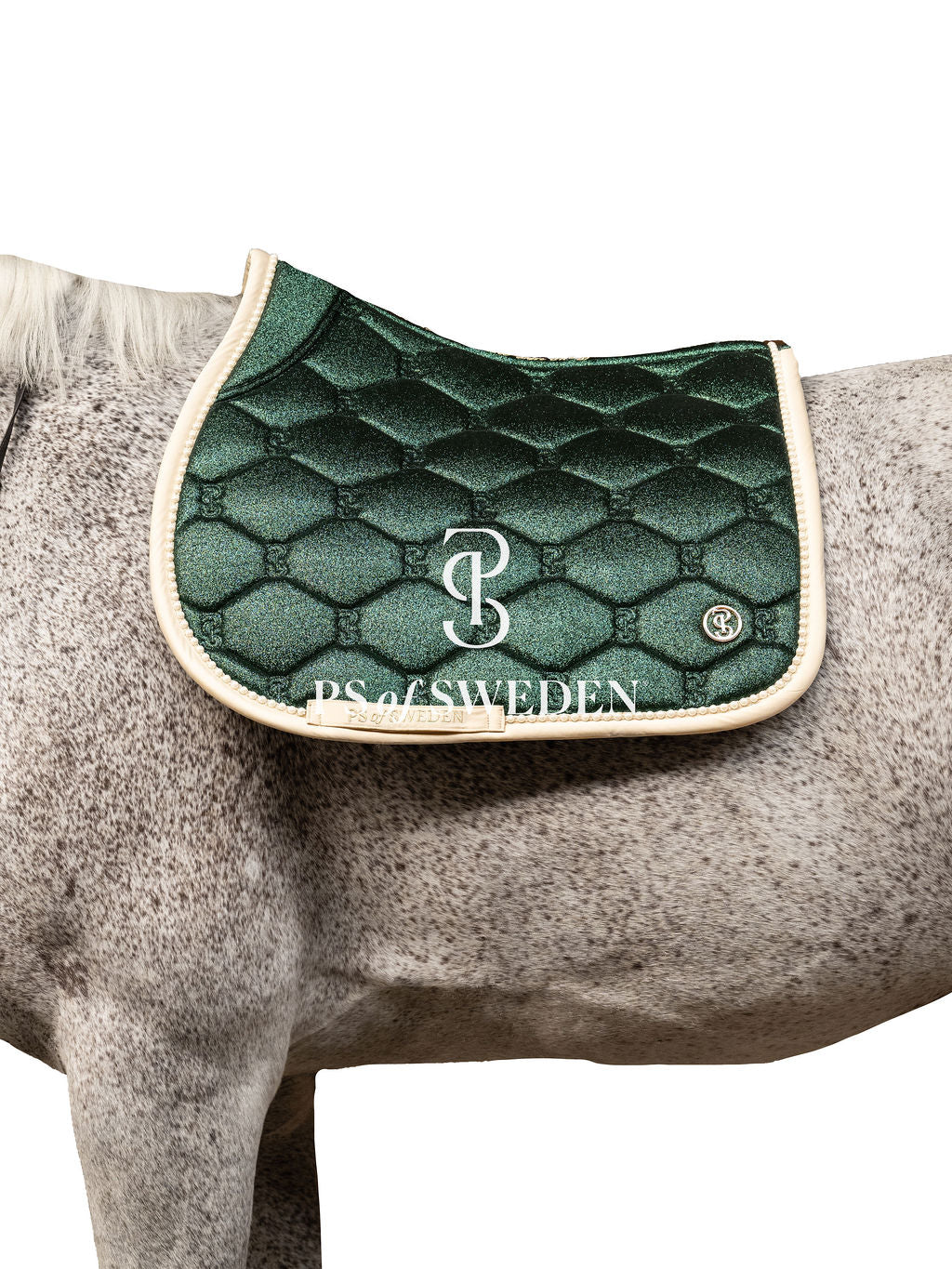 障害用スターダストゼッケン エメラルド/パープル/ホワイト 2025ホリデー限定 Ps of Sweden