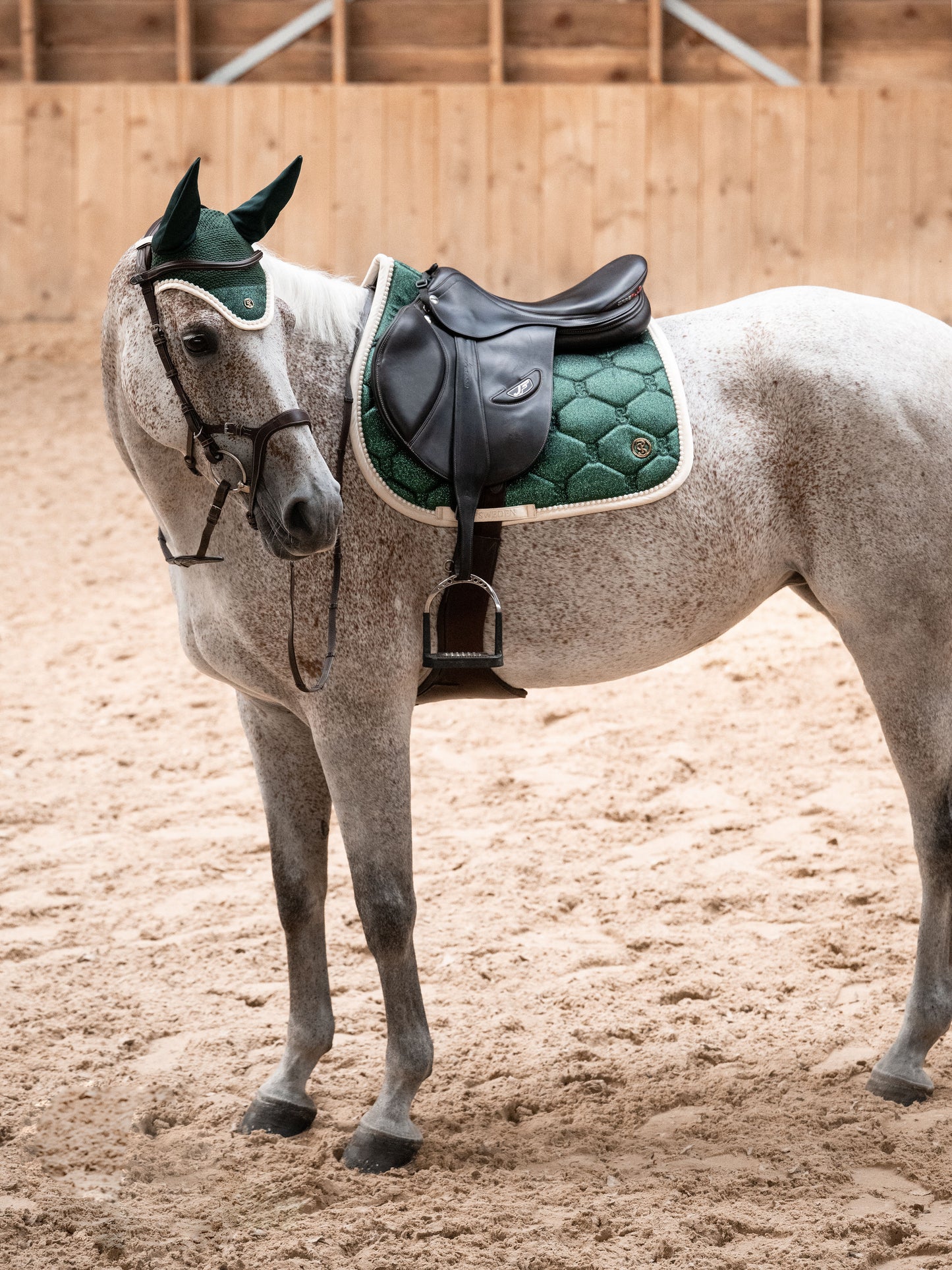 【2点セット】スターダストゼッケン&イヤーネット エメラルド 障害用/馬場用 2025ホリデー限定 Ps of Sweden