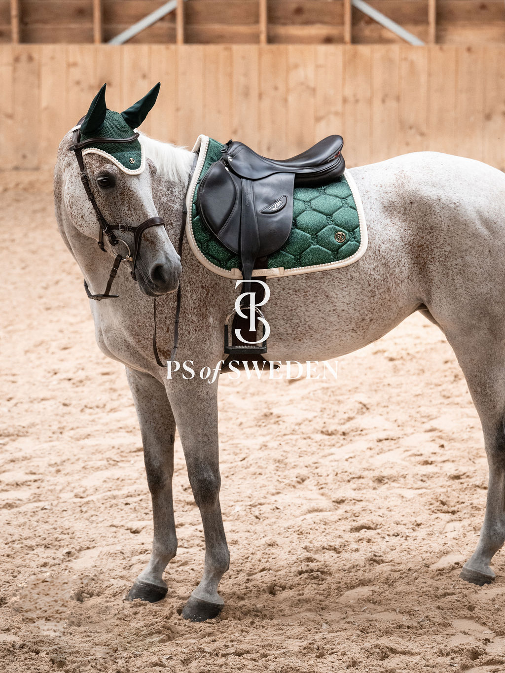 障害用スターダストゼッケン エメラルド/パープル/ホワイト 2025ホリデー限定 Ps of Sweden