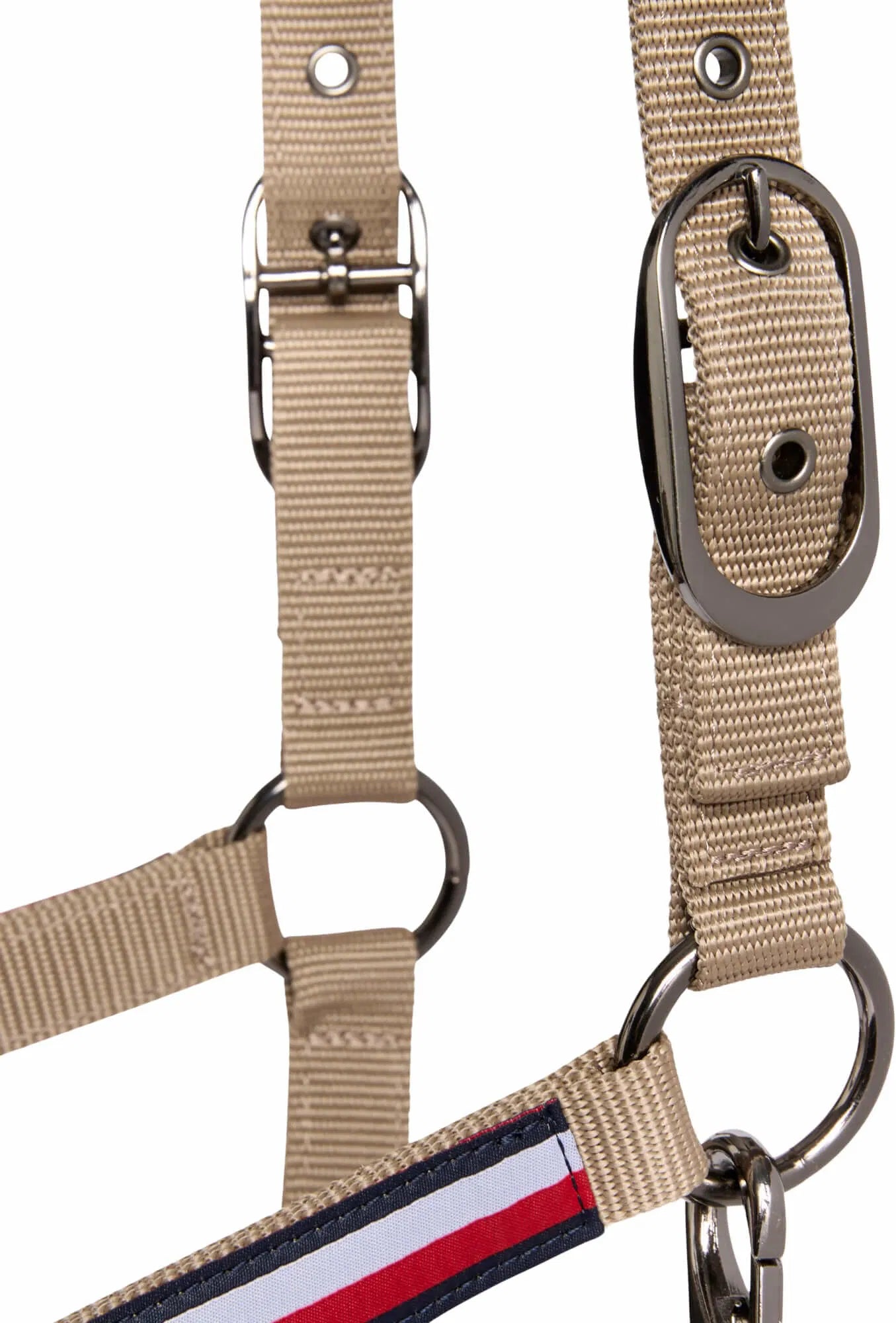 【2点セット】ナイロン無口＆引き手1本  ネイビー/トープ/パイン Tommy Hilfiger Equestrian