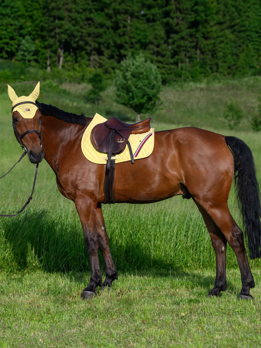 障害用ワッフルキルティングゼッケン&イヤーネット 調湿素材 レモンイエロー  Tommy Hillfiger Equestrian