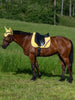馬場用ワッフルキルティングゼッケン&イヤーネット２点セット 調湿素材 レモンイエロー  Tommy Hilfiger Equestrian
