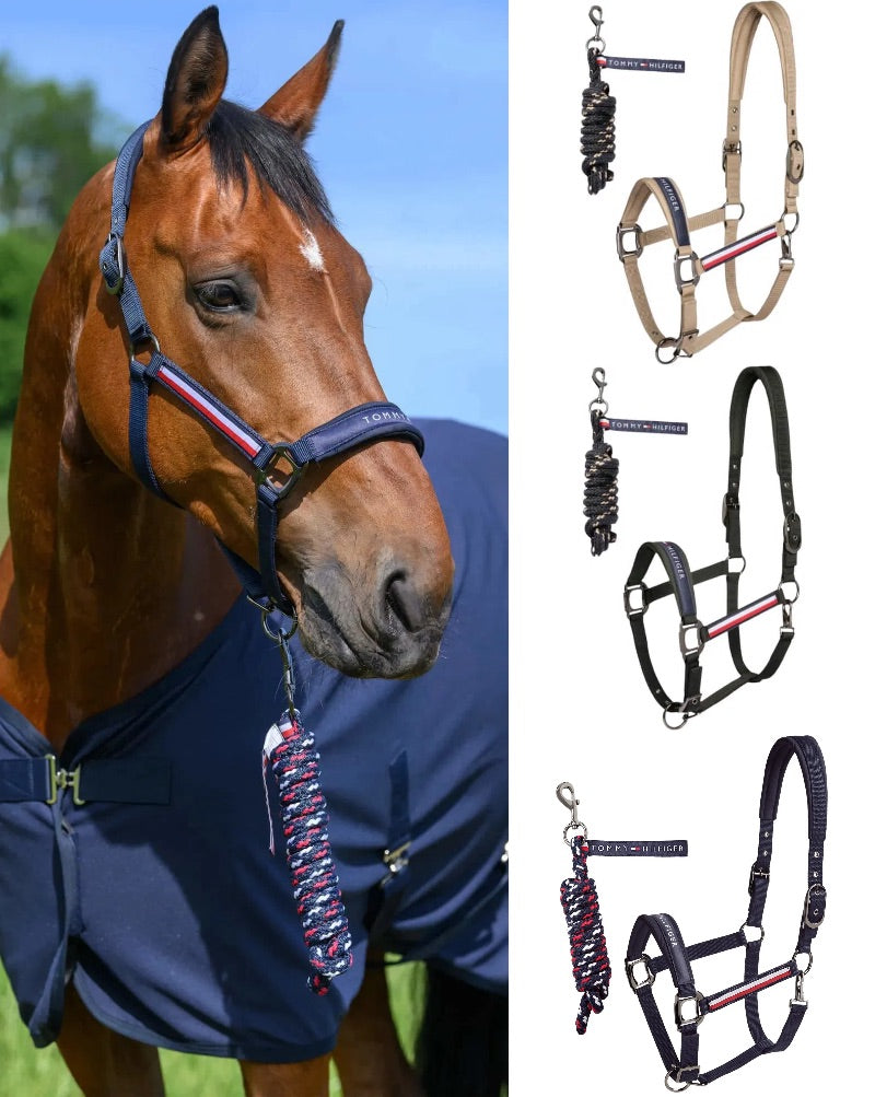 【2点セット】ナイロン無口＆引き手1本  ネイビー/トープ/パイン Tommy Hilfiger Equestrian