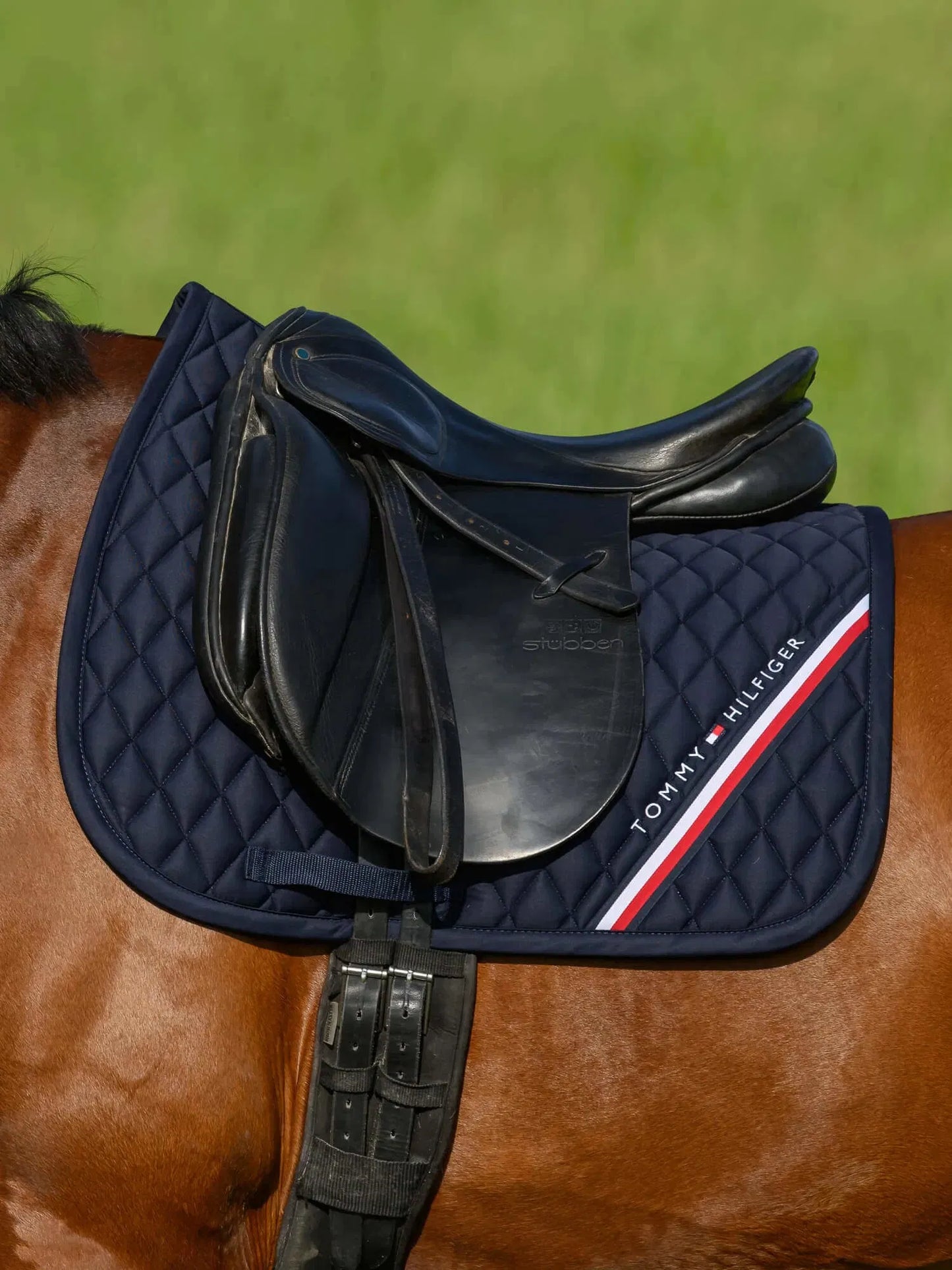 【4点セット】ナイロン無口＆引き手&馬場用ゼッケン&イヤーネット ネイビー Tommy Hilfiger Equestrian