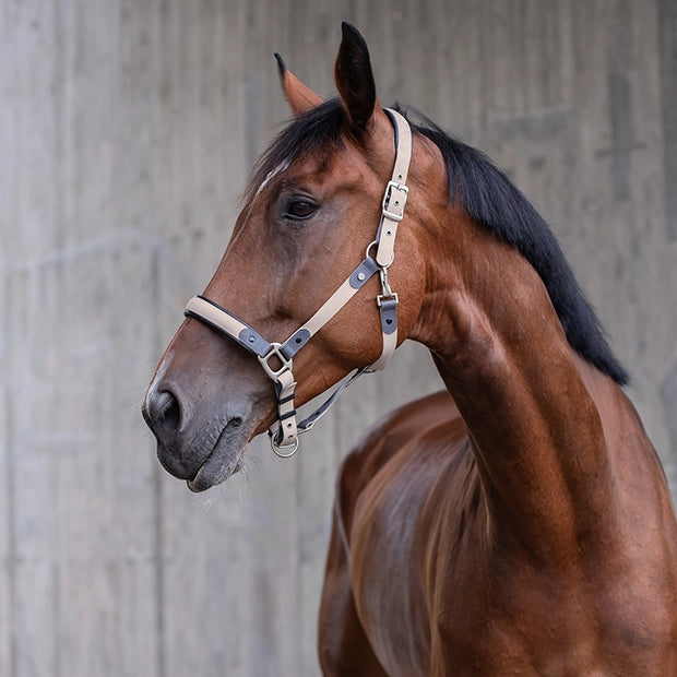 防水抗菌UVカット無口 引き手1本付き ローズ/バニラ/ブルー Sunride