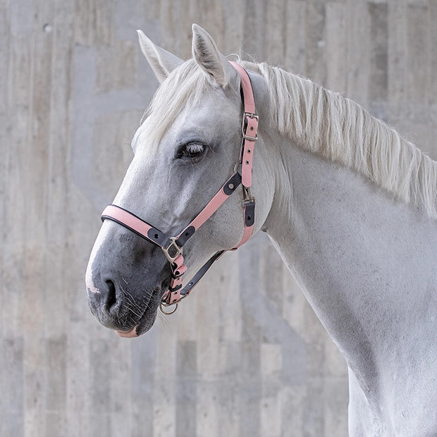 防水抗菌UVカット無口 引き手1本付き ローズ/バニラ/ブルー Sunride