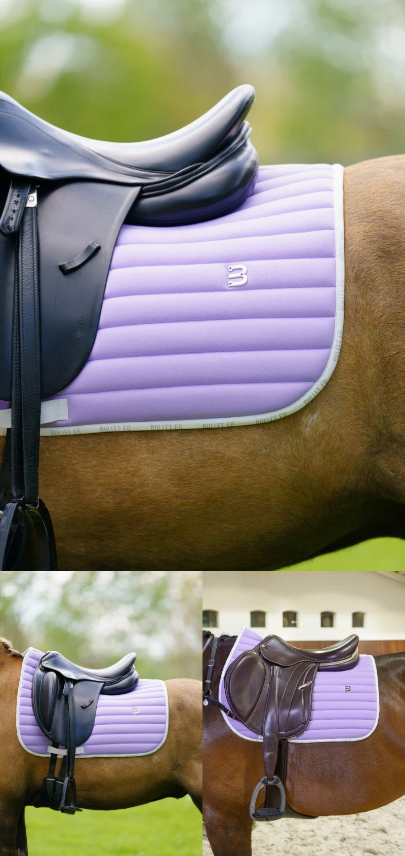 乗馬用ゼッケン 障害用・馬場用 速乾素材 ライラック Bullet Equestrian design フル