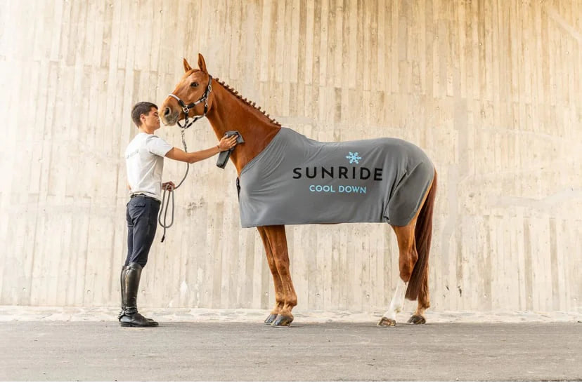 Insect-repellent horse blanket, white, Sunride