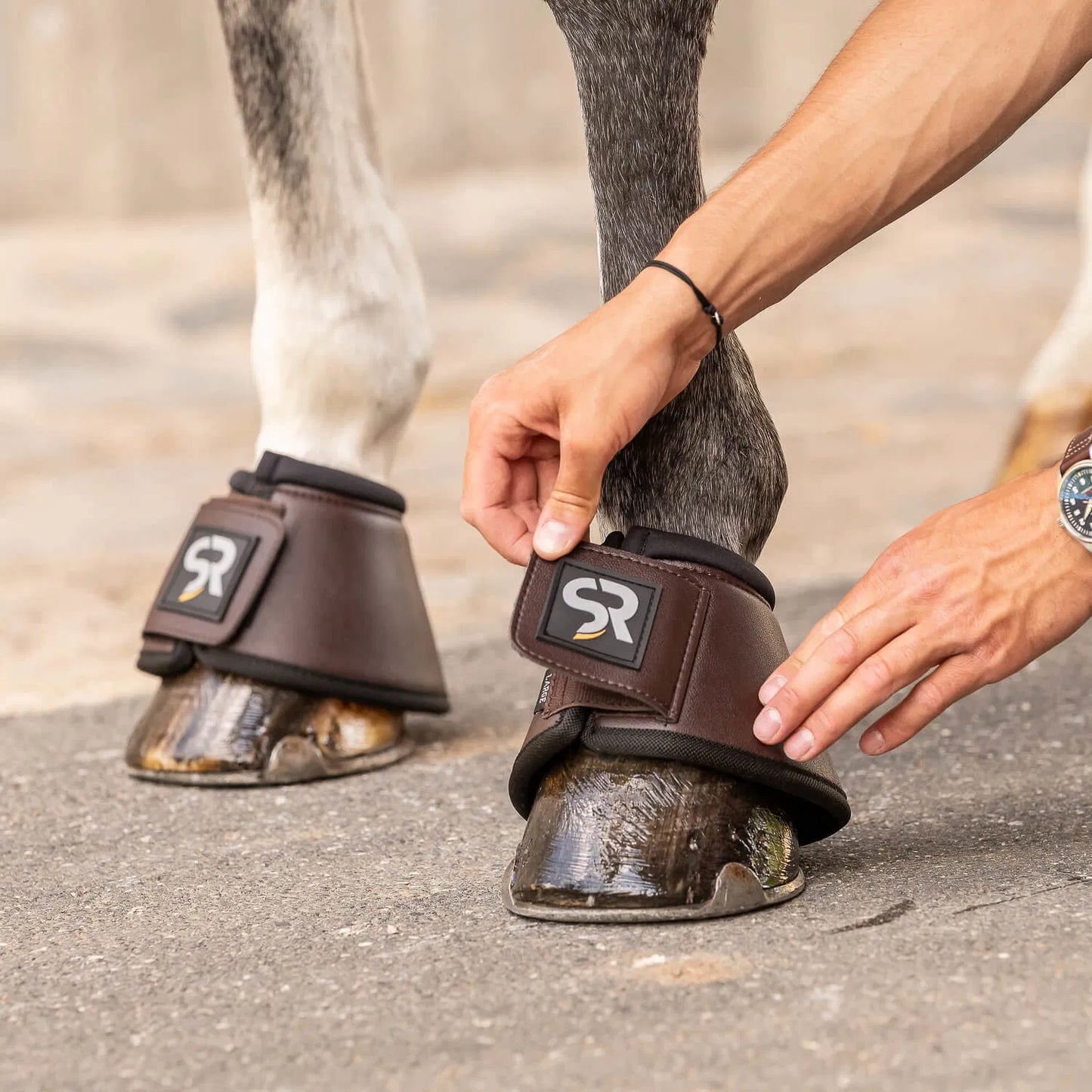 【お得セット】馬場用プロテクター四肢セット&ワンコ 本革 ファーなし ブラック/ブラウン Sunride