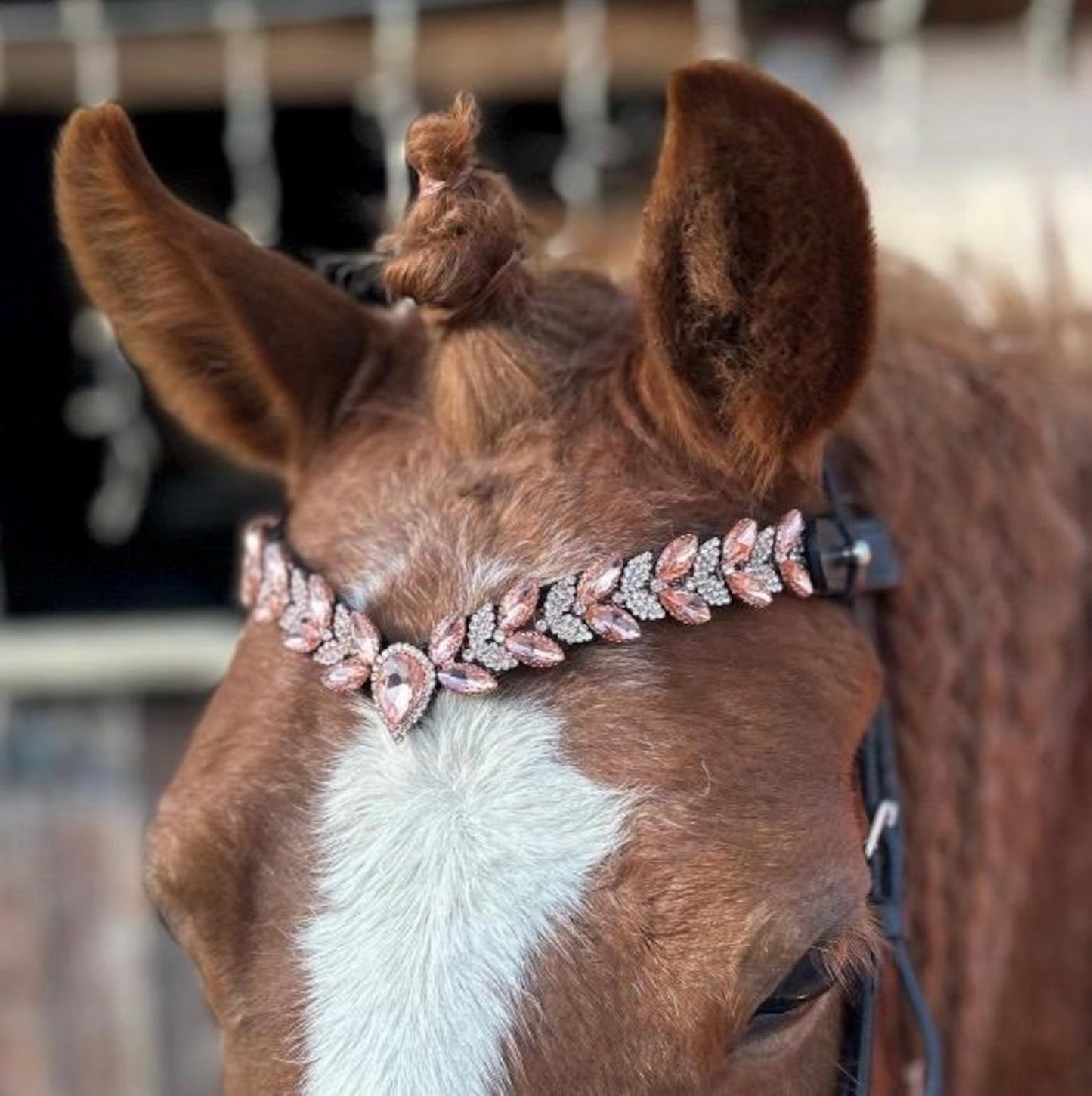 メガスパークル額革 ドロップスワロフスキー 5色 Benz Equestrian