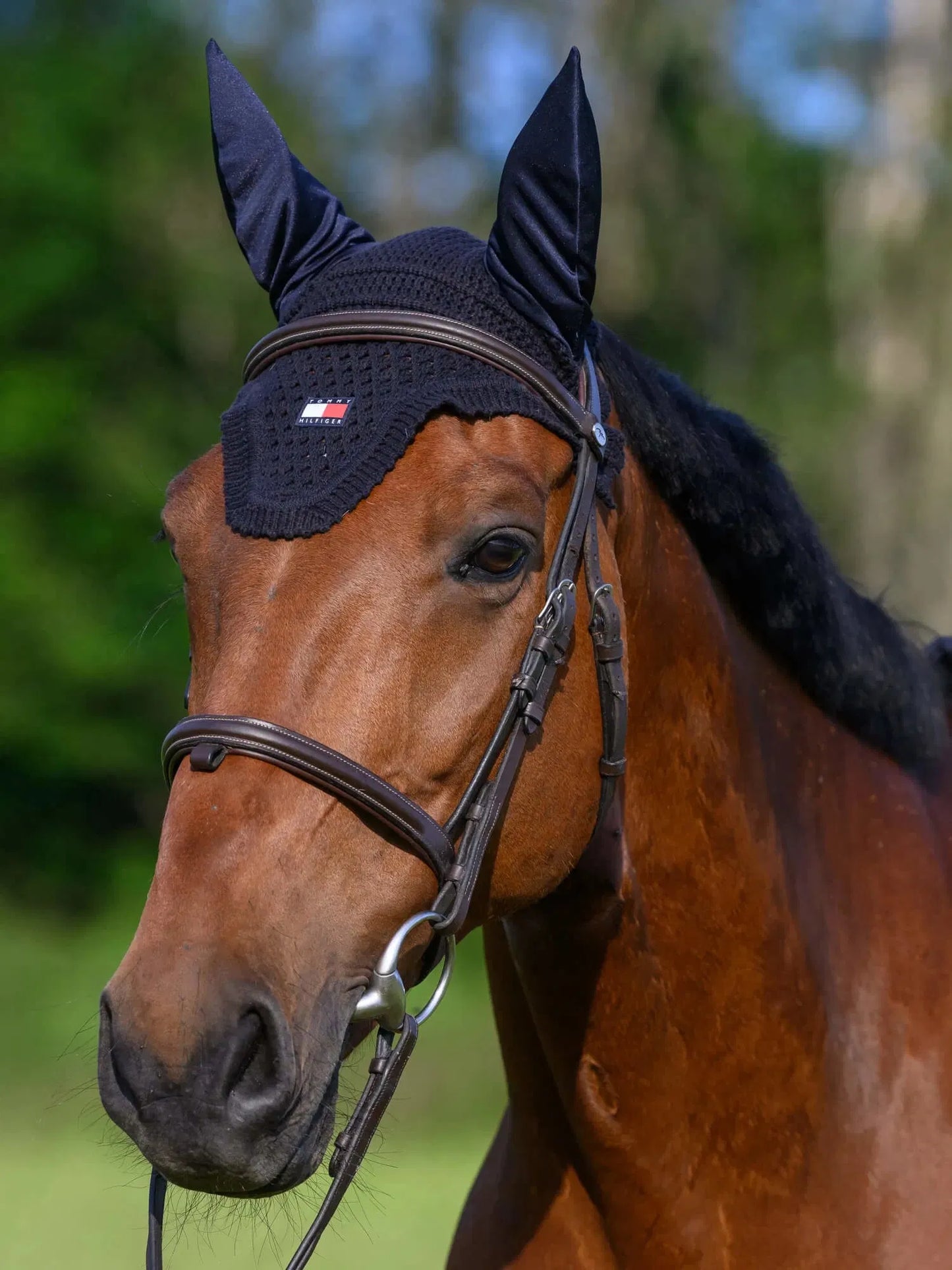 【4点セット】ナイロン無口＆引き手&馬場用ゼッケン&イヤーネット ネイビー Tommy Hilfiger Equestrian