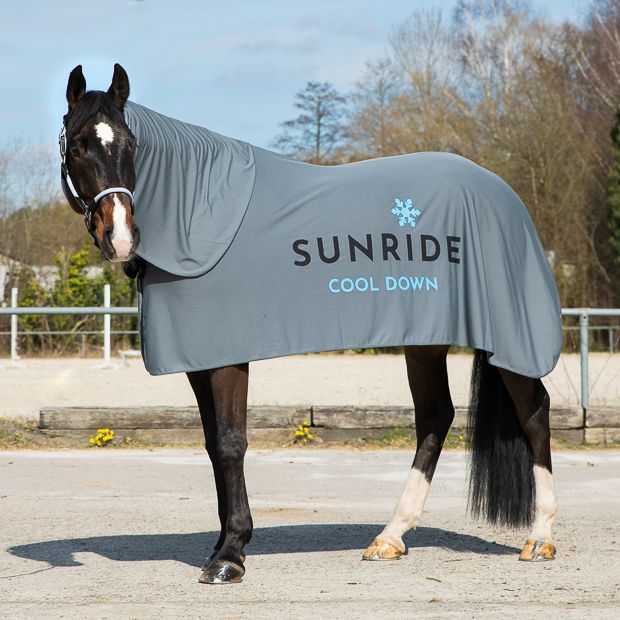 Insect-repellent horse blanket, white, Sunride