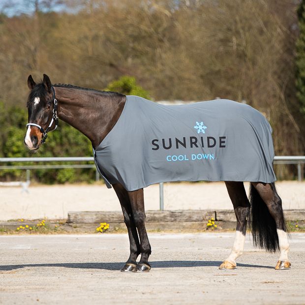 Insect-repellent horse blanket, white, Sunride