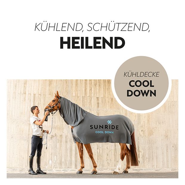 Insect-repellent horse blanket, white, Sunride