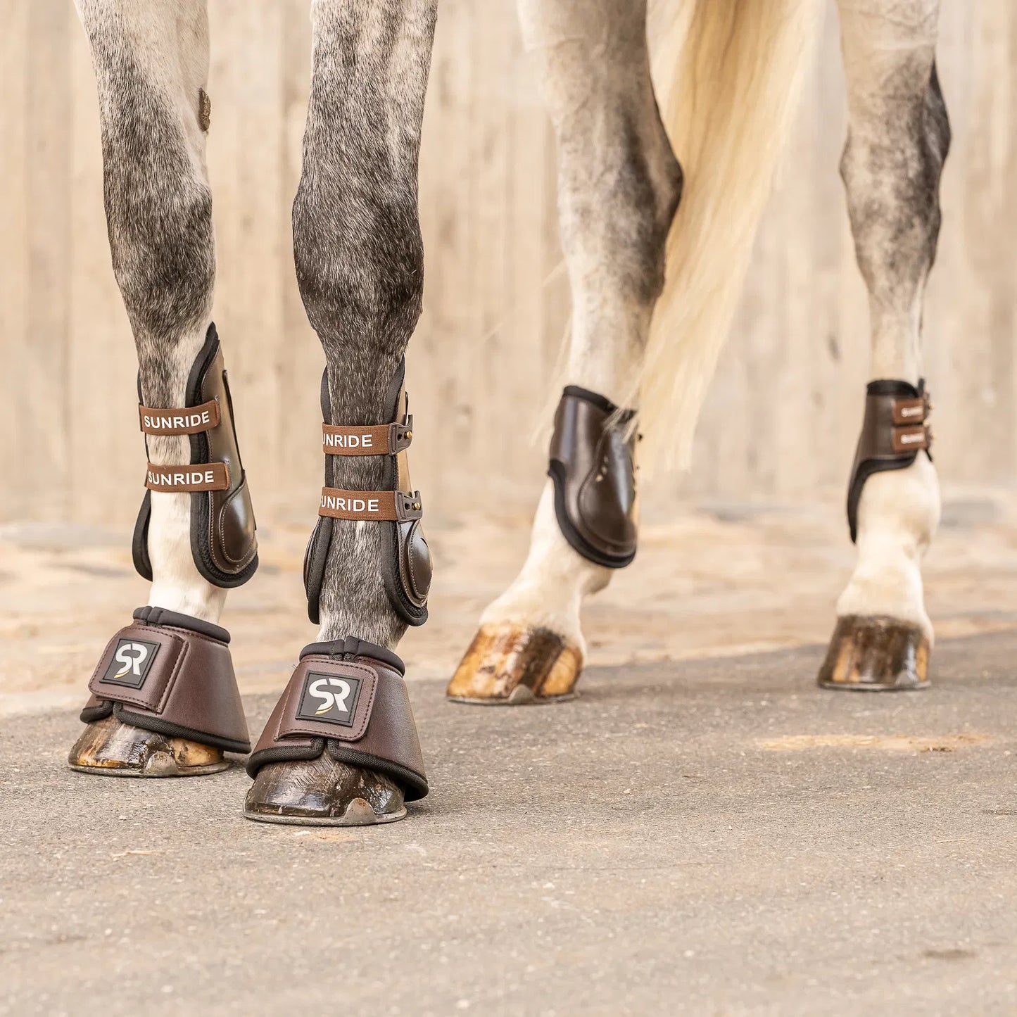 【お得セット】馬場用プロテクター四肢セット&ワンコ 本革 ファーなし ブラック/ブラウン Sunride