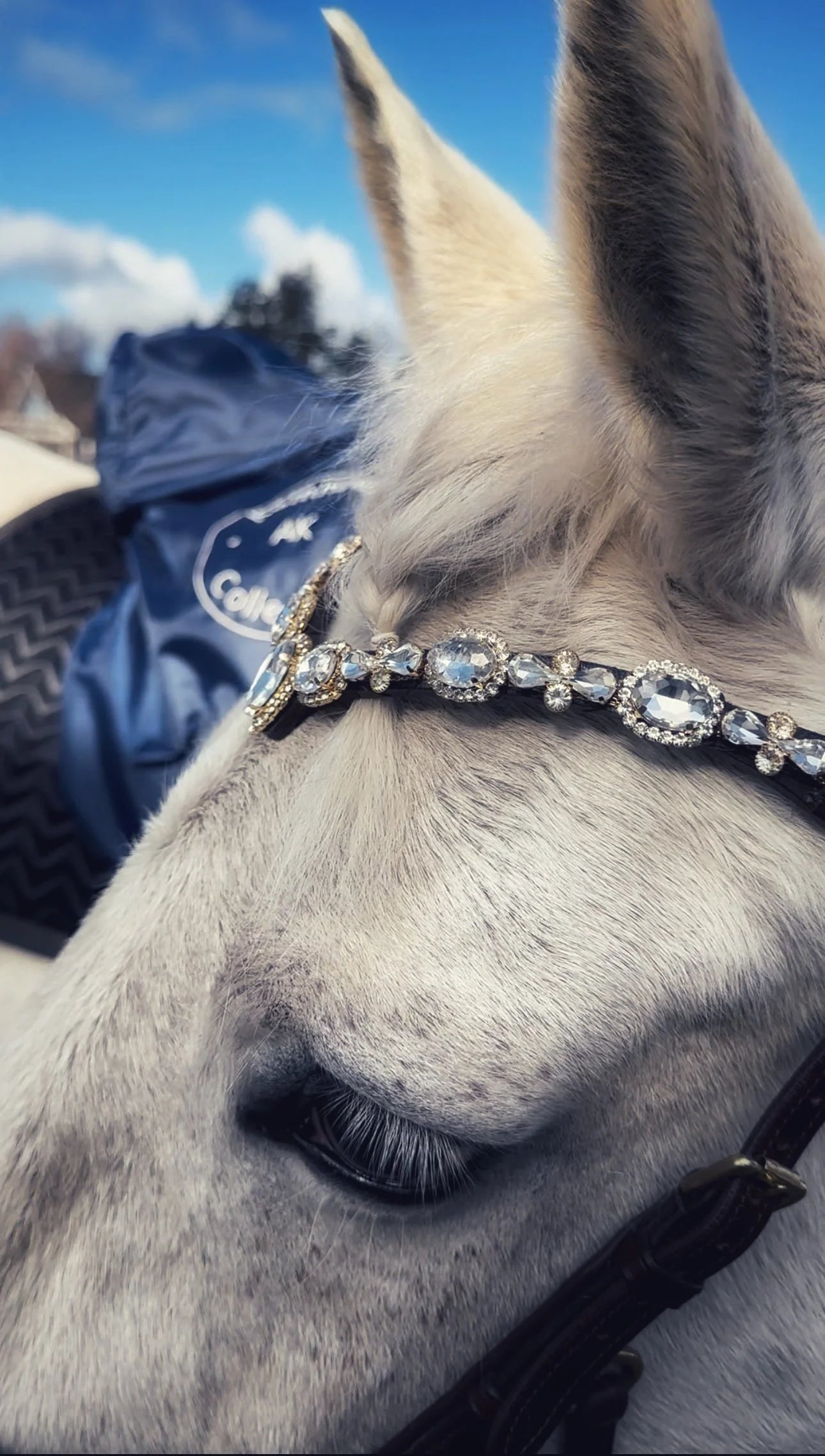 クリスタルドロップ額革 スワロフスキー 本革 Masego