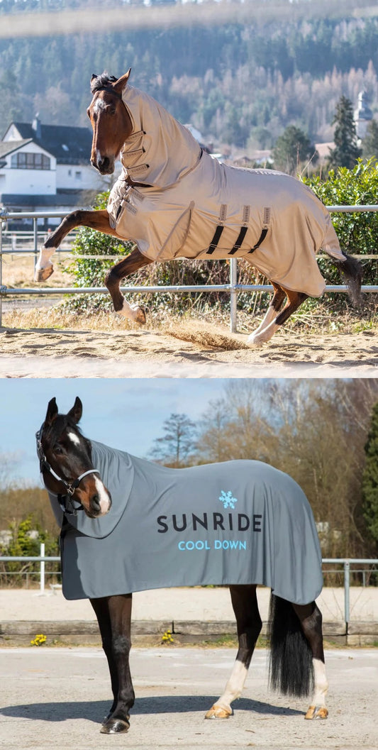 【猛暑対策セット】猛暑日用虫除け馬着＆3in1クールダウンラグ ネックパート付き Sunride