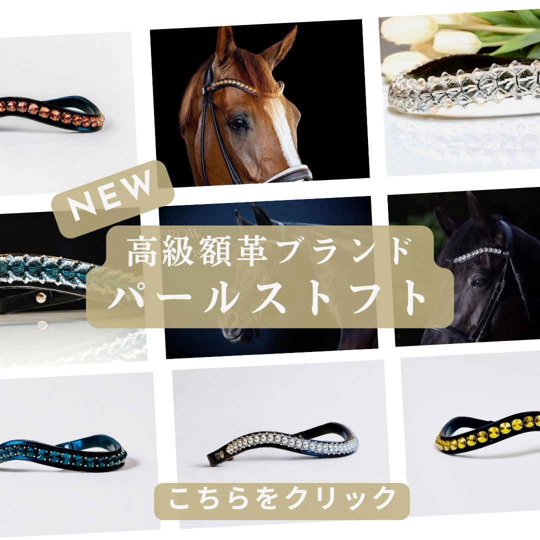 即日発送】 乗馬用品 MANFREDY社 ジャケット・アウター ...マンフレディ