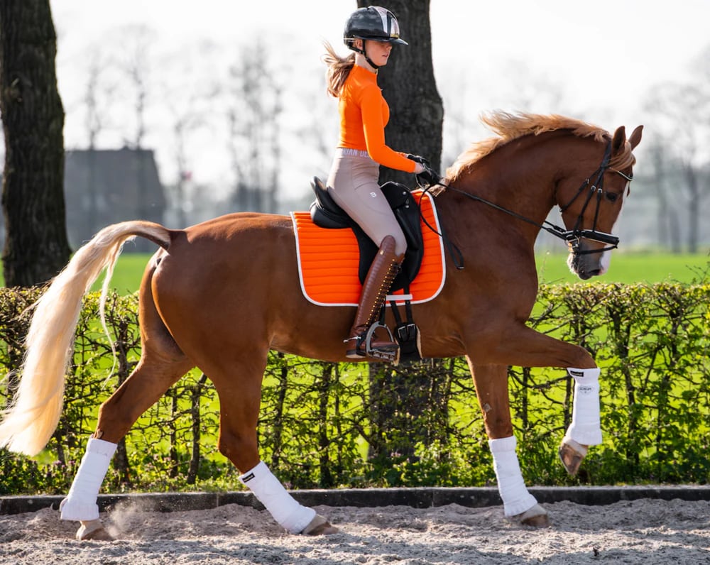 乗馬用ゼッケン 障害用・馬場用 速乾素材 オレンジ Bullet Equestrian design フル｜乗馬用品店レクシア