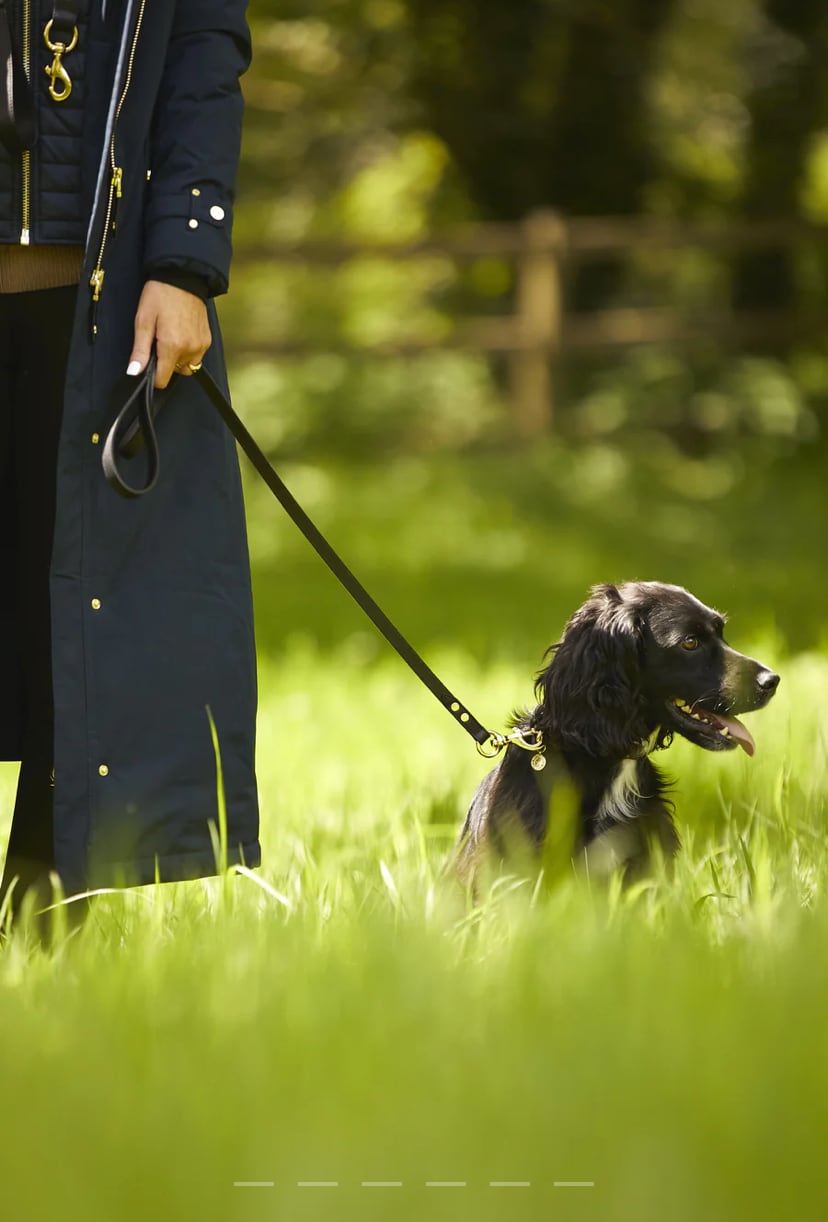 犬用リード 本革 小型犬用 ブラウン/ブラック Holland Cooper