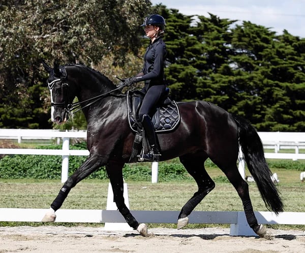 夏用乗馬レギンス フルグリップ レディース ロゴプリント Eloquence Equestrian