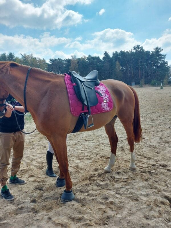 乗馬用ゼッケン 馬場用 障害用 牡丹柄 フューシャピンク