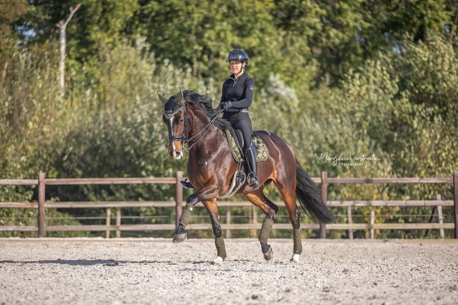 クリスタルイヤーネット ブラック・ネイビー・ カーキ・グレー Eloquence Equestrian