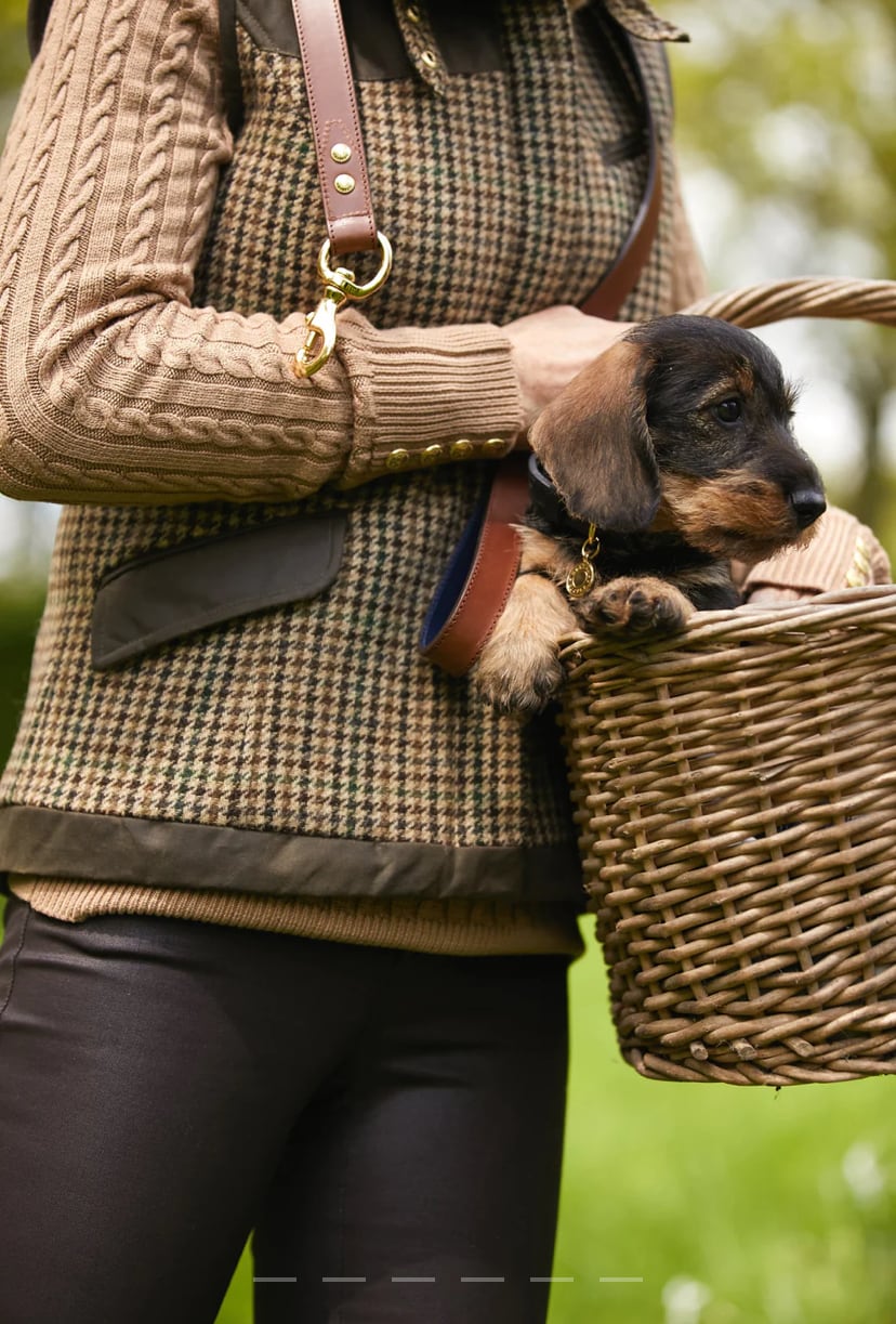 首輪 ドックカラー 本革 小型犬用 スタッズ付き ブラウン/ブラック Holland Cooper