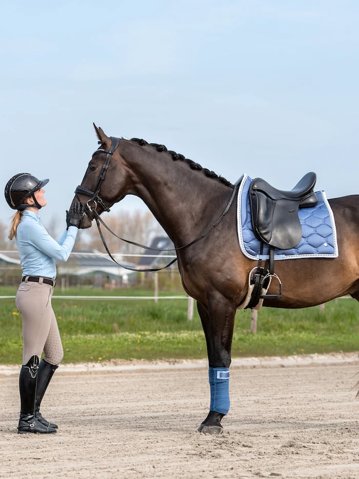 乗馬 PS of SWEDEN ゼッケン サドルパッド 馬場馬術 - その他スポーツ