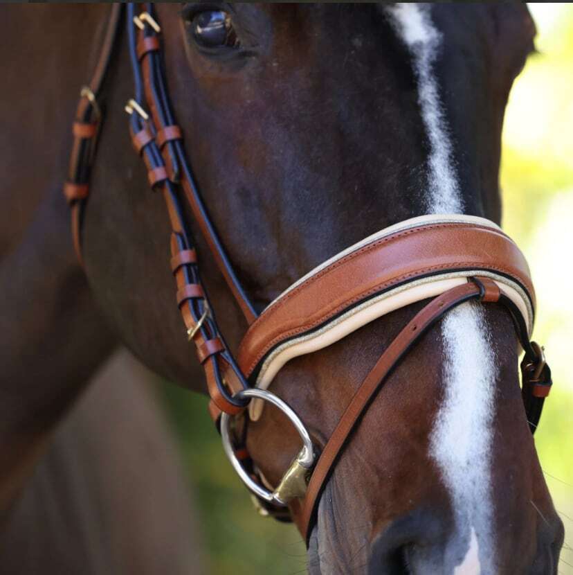 アナトミカル頭絡 手綱付き コニャック Halter ego｜乗馬用品店レクシア