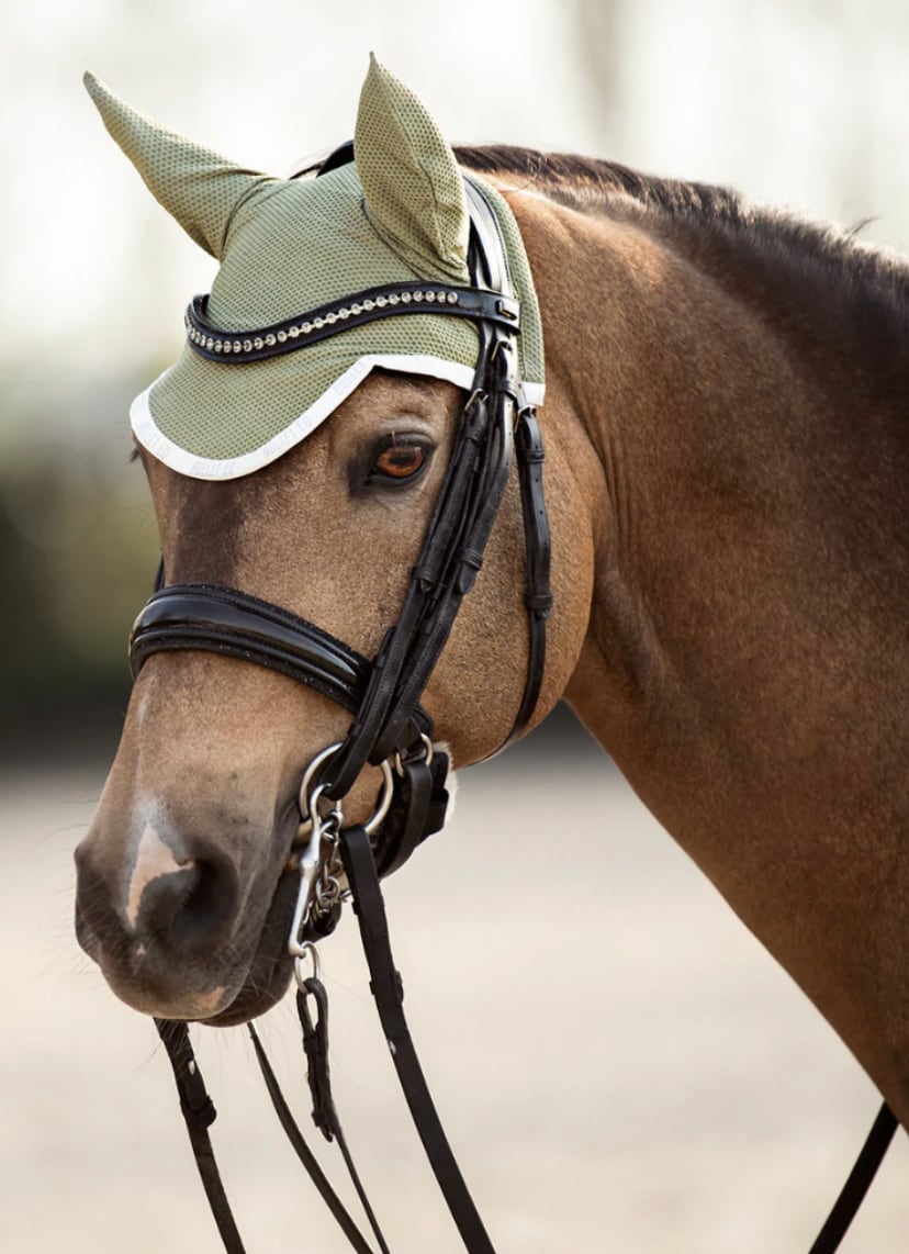 障害用ゼッケン＆イヤーネット 2点セット 速乾素材 Bullet Equestrian design フル｜乗馬用品店レクシア