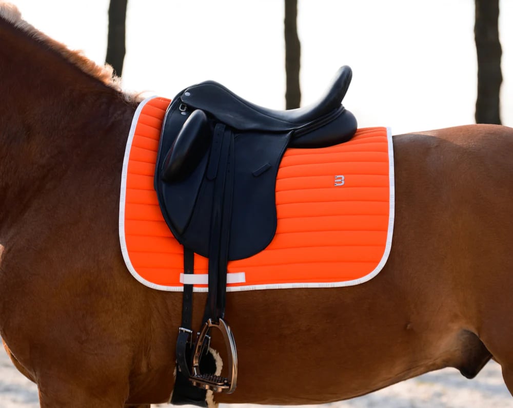 乗馬用ゼッケン 障害用・馬場用 速乾素材 オレンジ Bullet Equestrian design フル｜乗馬用品店レクシア