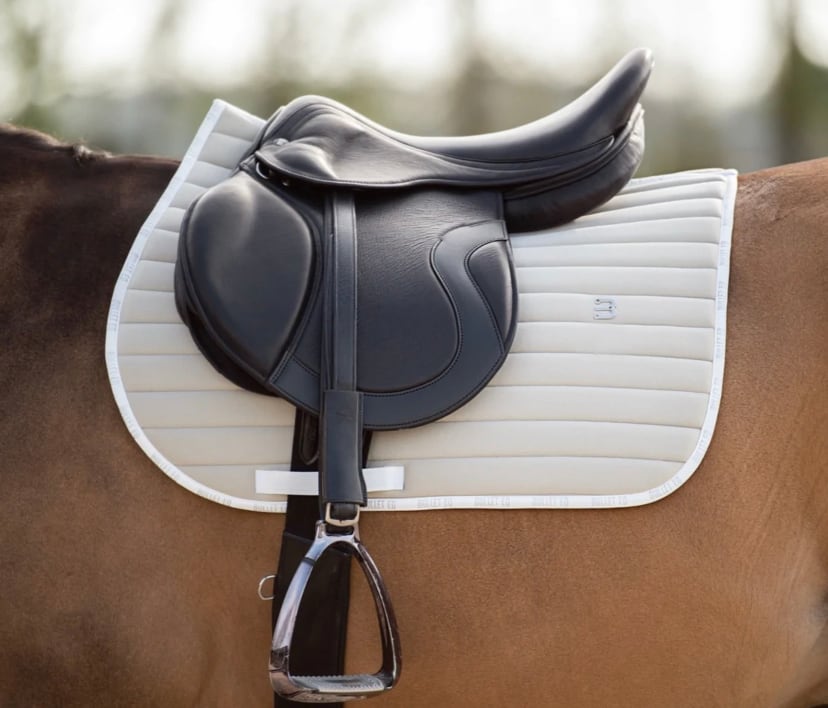 障害用ゼッケン＆イヤーネット 2点セット 速乾素材 Bullet Equestrian design フル｜乗馬用品店レクシア