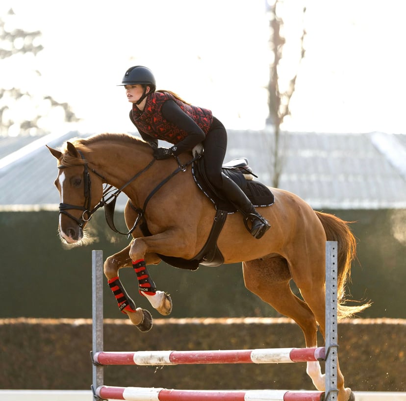 乗馬用ゼッケン クイックドライ素材 障害 馬場 Mrs Ros Equestrian