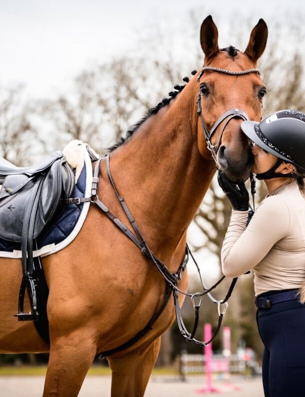 乗馬用ゼッケン 障害 馬場 シェル柄 パール付き アナトミカル構造 Ps of Sweden