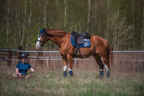 サテンレースサドルパッド＆イヤーネット 2点セット ネイビー/ベージュ 馬場用 障害用 ゼッケン イヤーネット