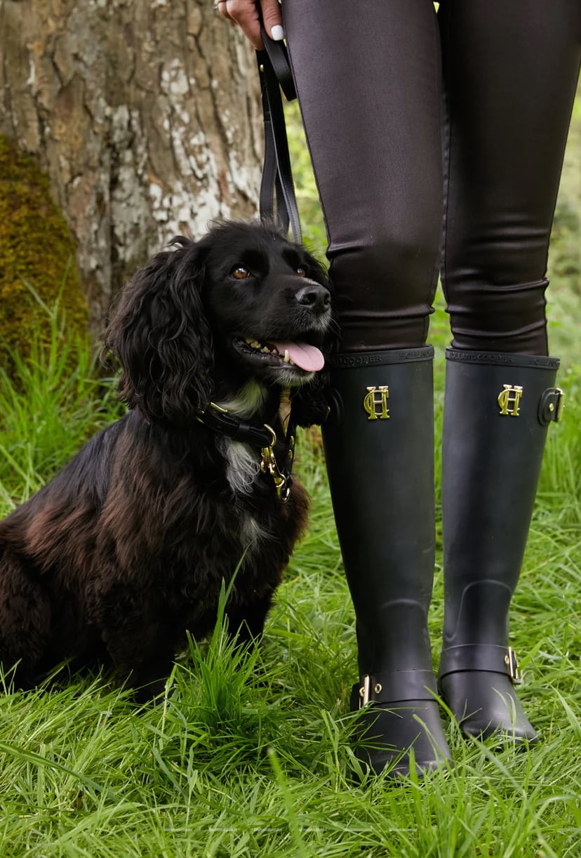 首輪 ドックカラー 本革 小型犬用 スタッズ付き ブラウン/ブラック Holland Cooper