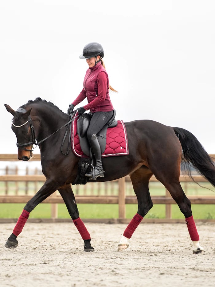 販売割引乗馬・馬術用品　アナスカルパティ　白ゼッケン(馬場用) 新品未開封 その他